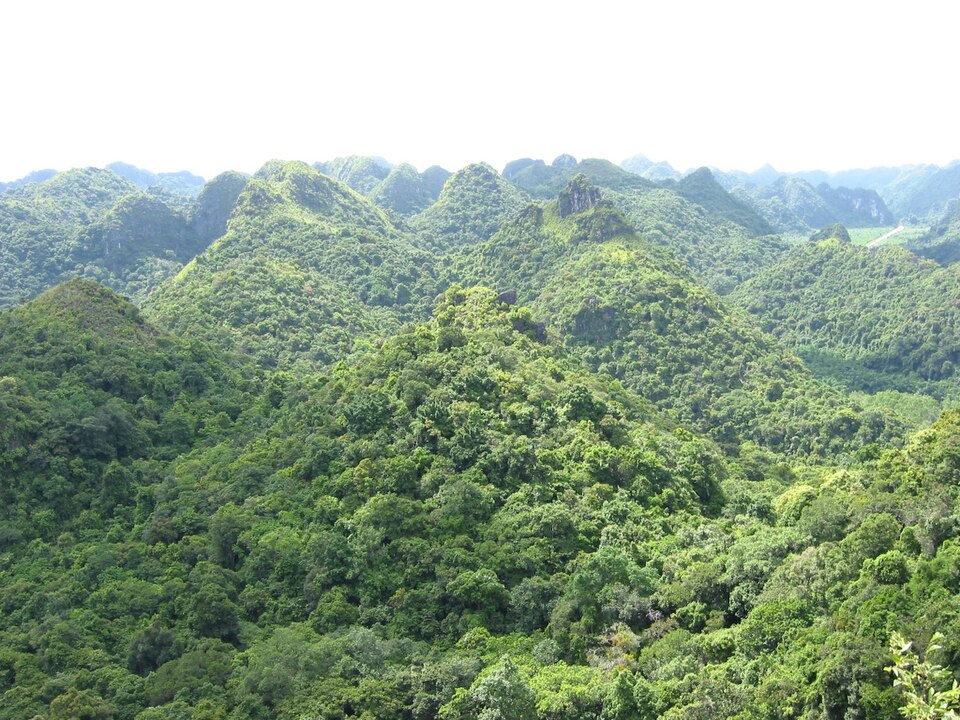Cat Ba National Park（Vietnam）