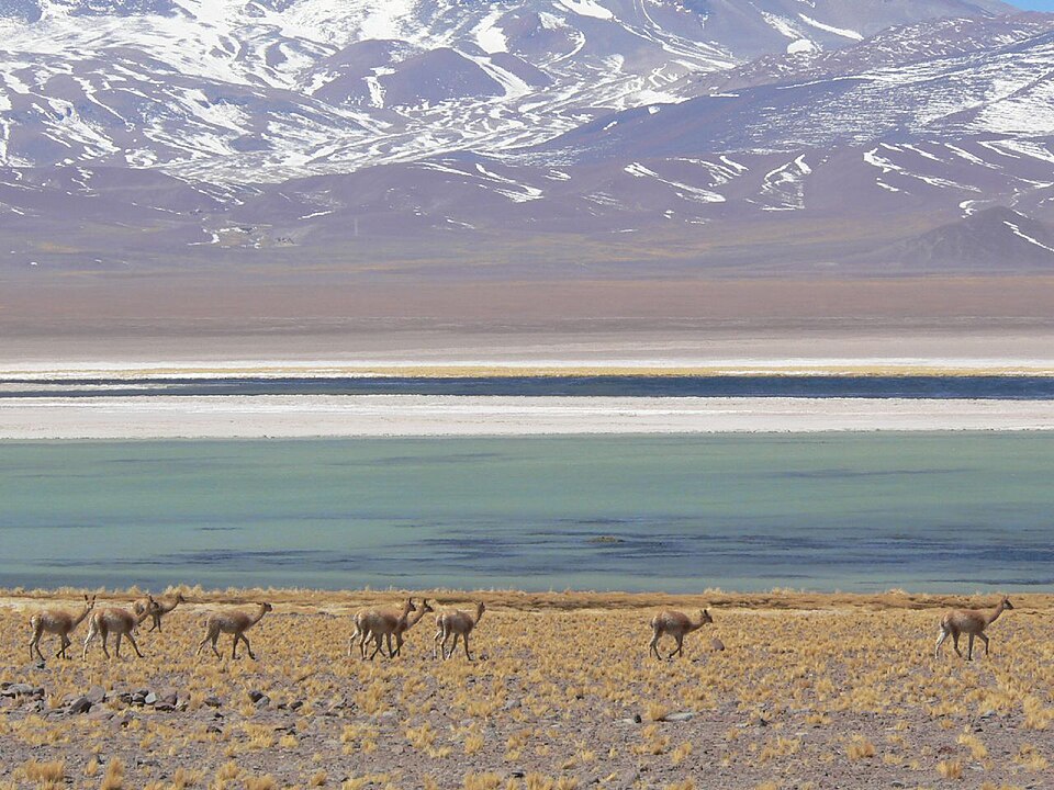 Nevado Tres Cruces National Park（Chile）