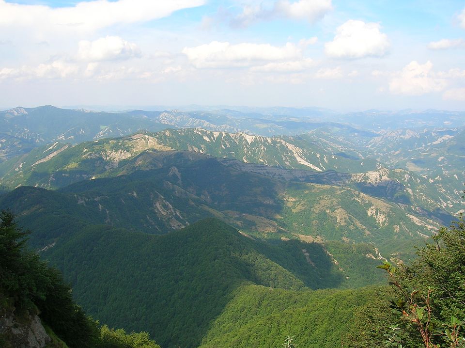 Foreste Casentinesi, Monte Falterona, Campigna National Park（Italy）