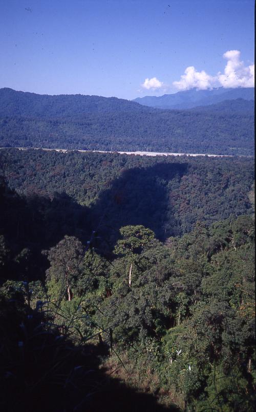 Namdapha National Park（India）