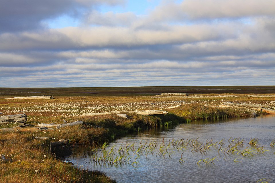 Gydansky（Russia）