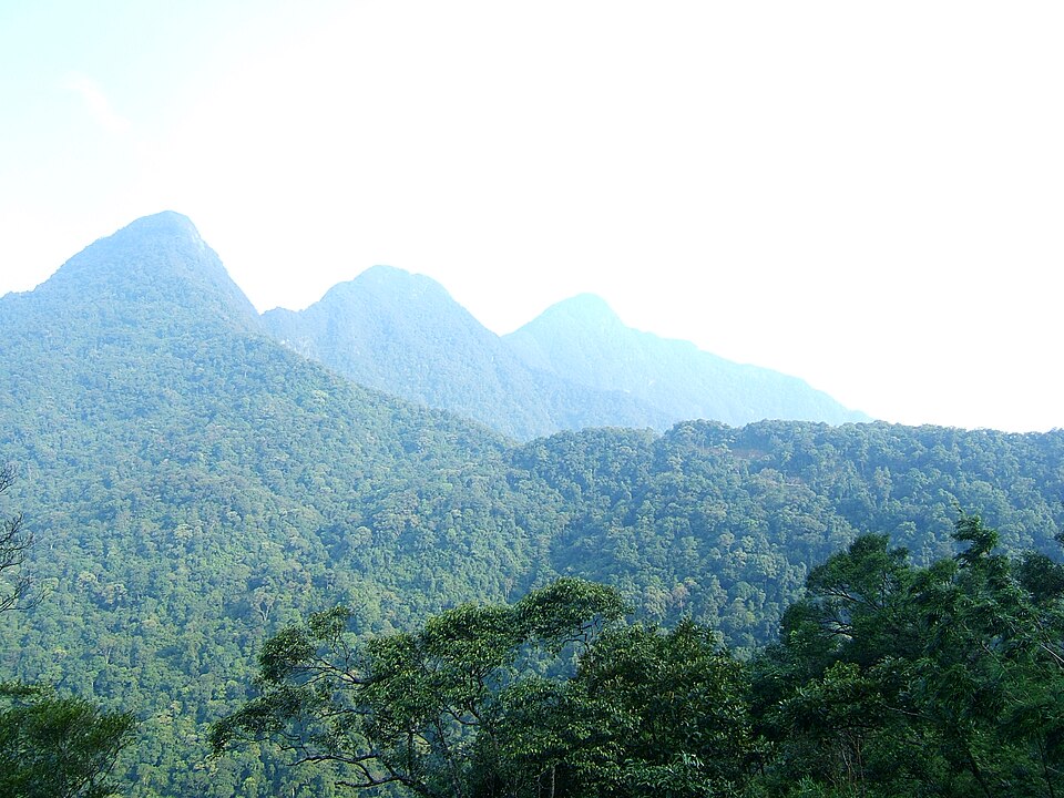 Tam Dao National Park（Vietnam）