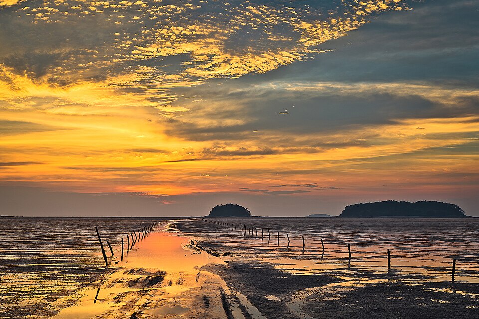 Getbol, Korean Tidal Flats（South Korea）
