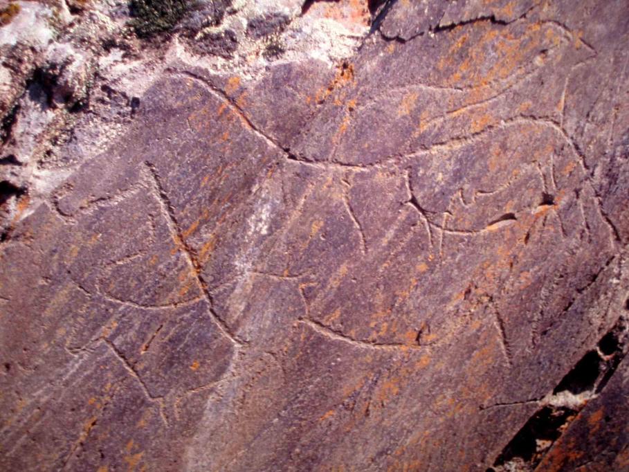 Prehistoric Rock-Art Site of the Côa Valley and Siega Verde（Spain）