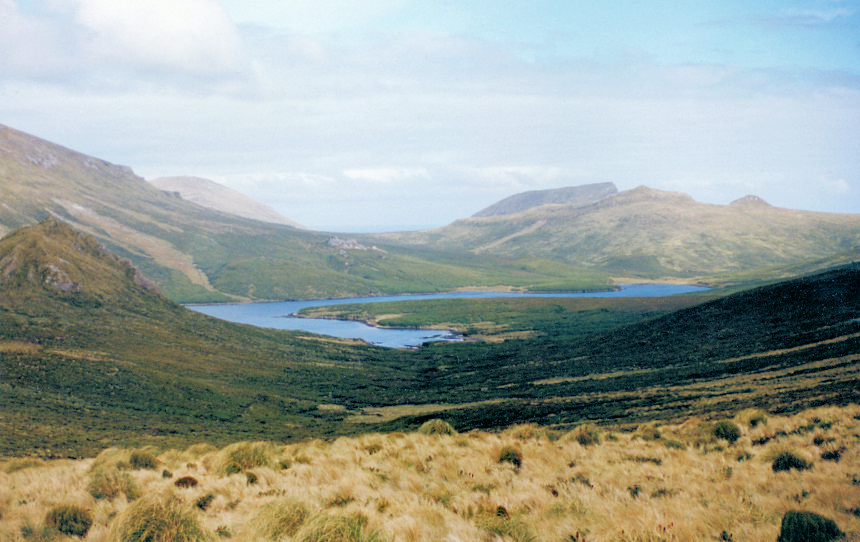 New Zealand Subantarctic Islands（New Zealand）