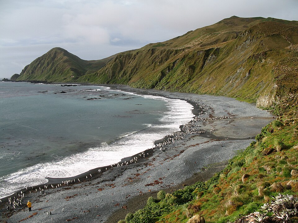 Macquarie Island（Australia）
