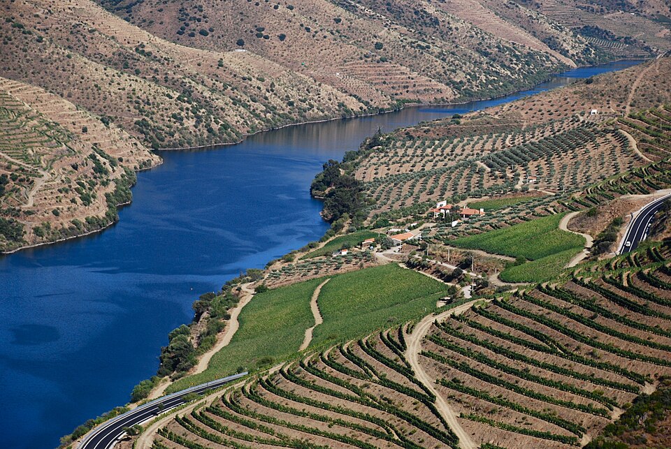 Alto Douro Wine Region（Portugal）