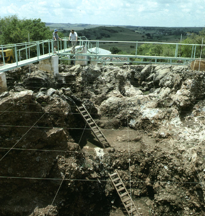 Cradle of Humankind（South Africa）
