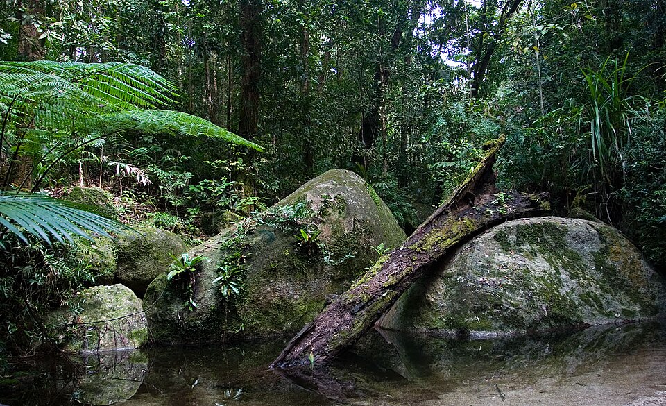 Wet Tropics of Queensland（Australia）