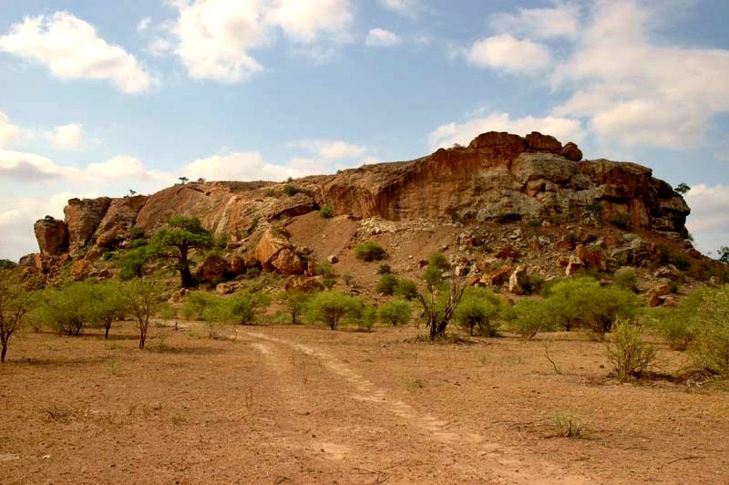 Mapungubwe Cultural Landscape（South Africa）
