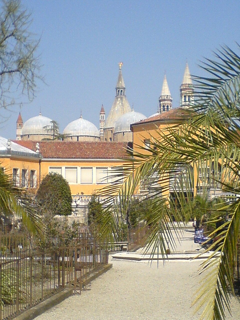 Padova botanical garden（Italy）