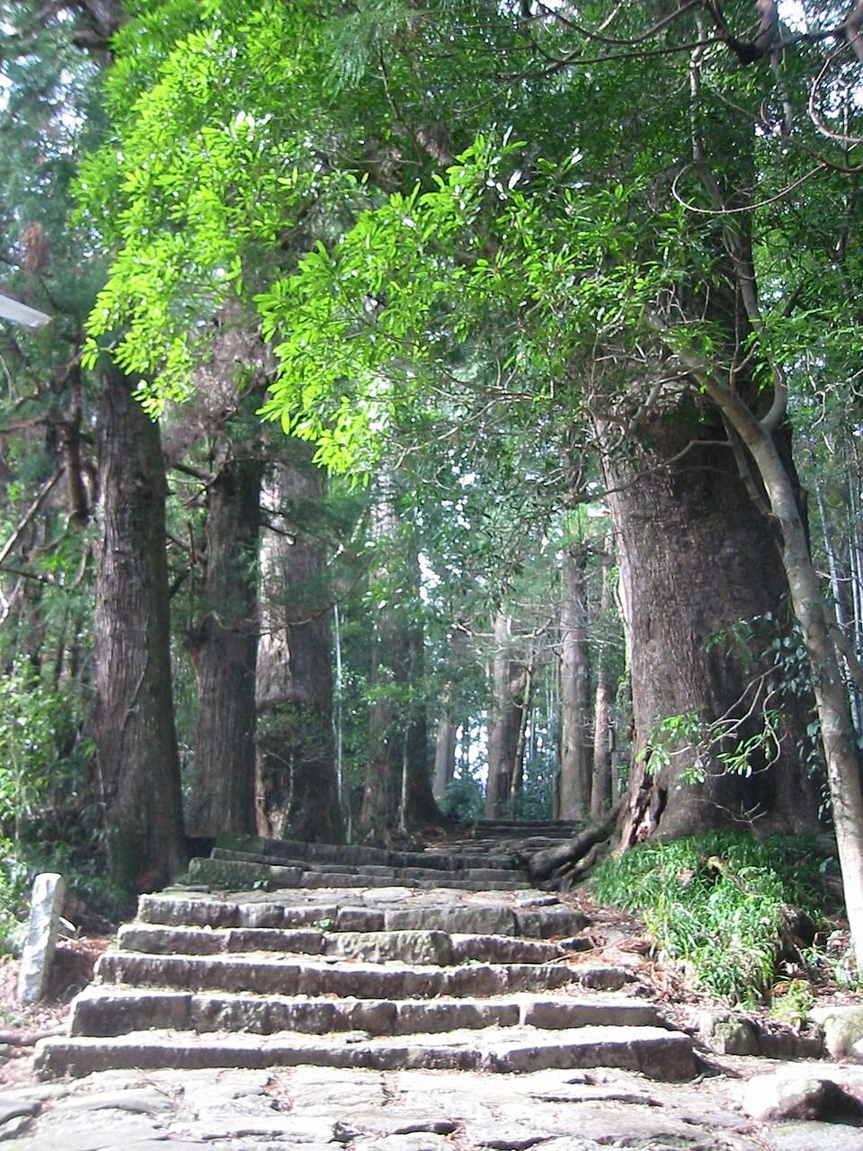 Sacred Sites and Pilgrimage Routes in the Kii Mountain Range（Japan）