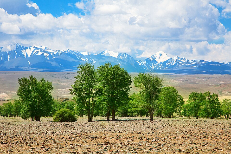 Golden Mountains of Altai（Russia）