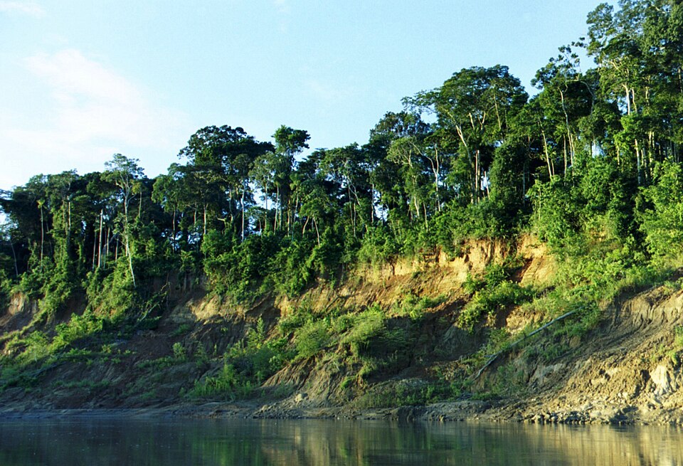Manu National Park（Peru）