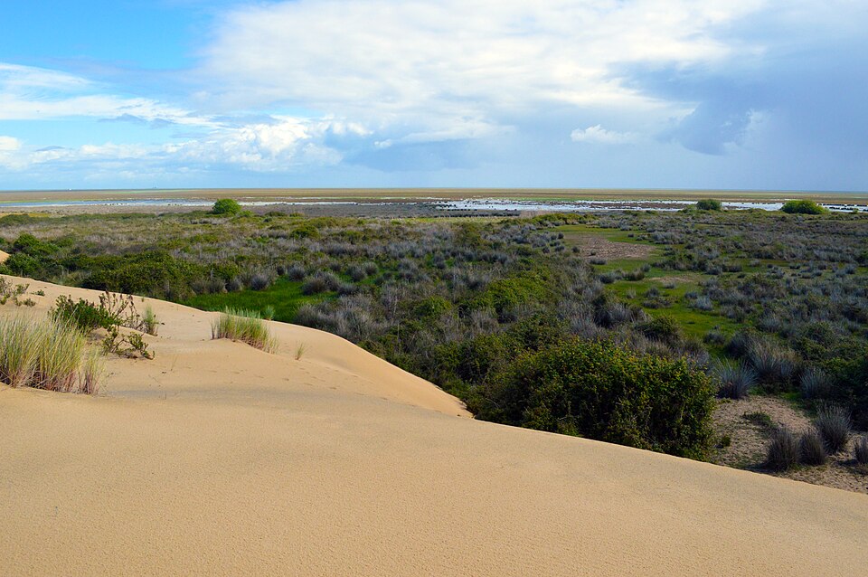 Doñana National Park（Spain）