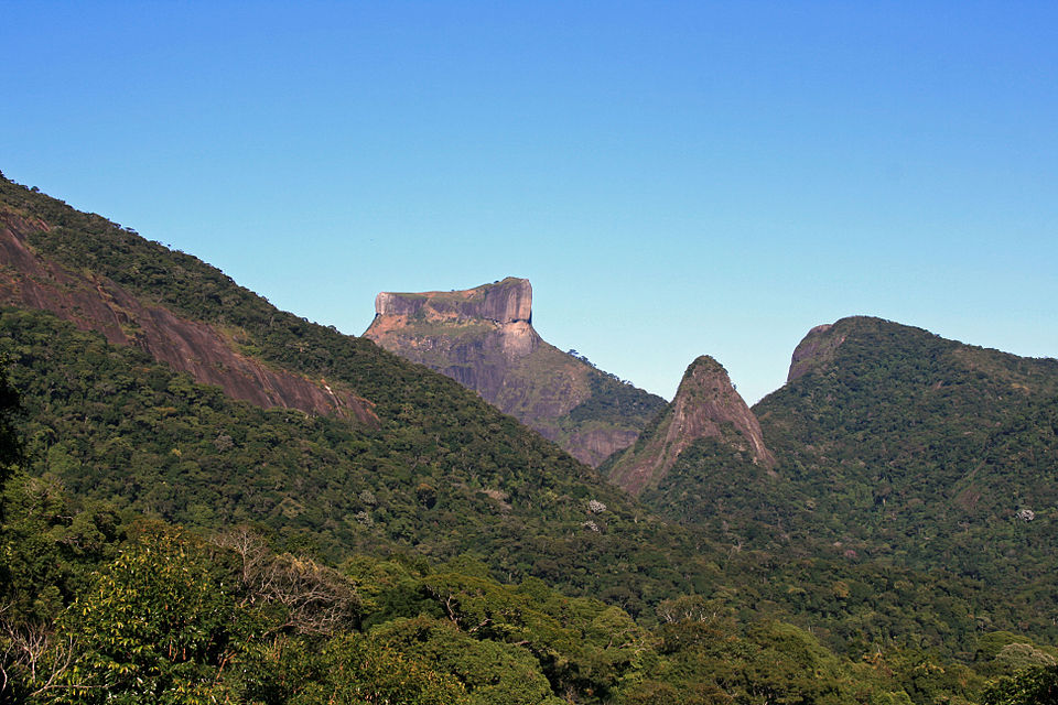 Tijuca Forest（Brazil）