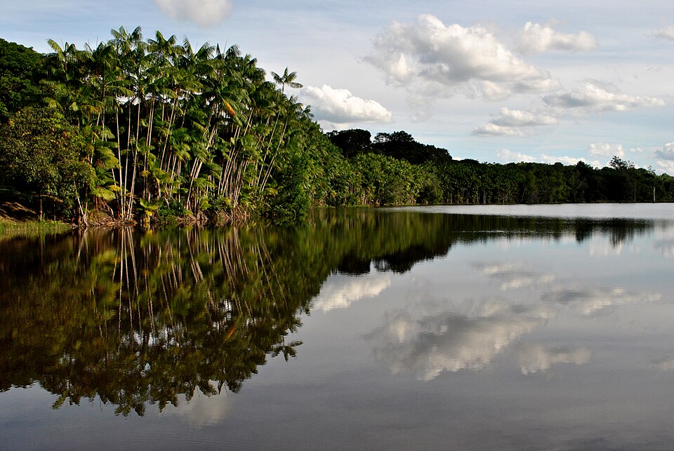 Discovery Coast Atlantic Forest Reserves（Brazil）