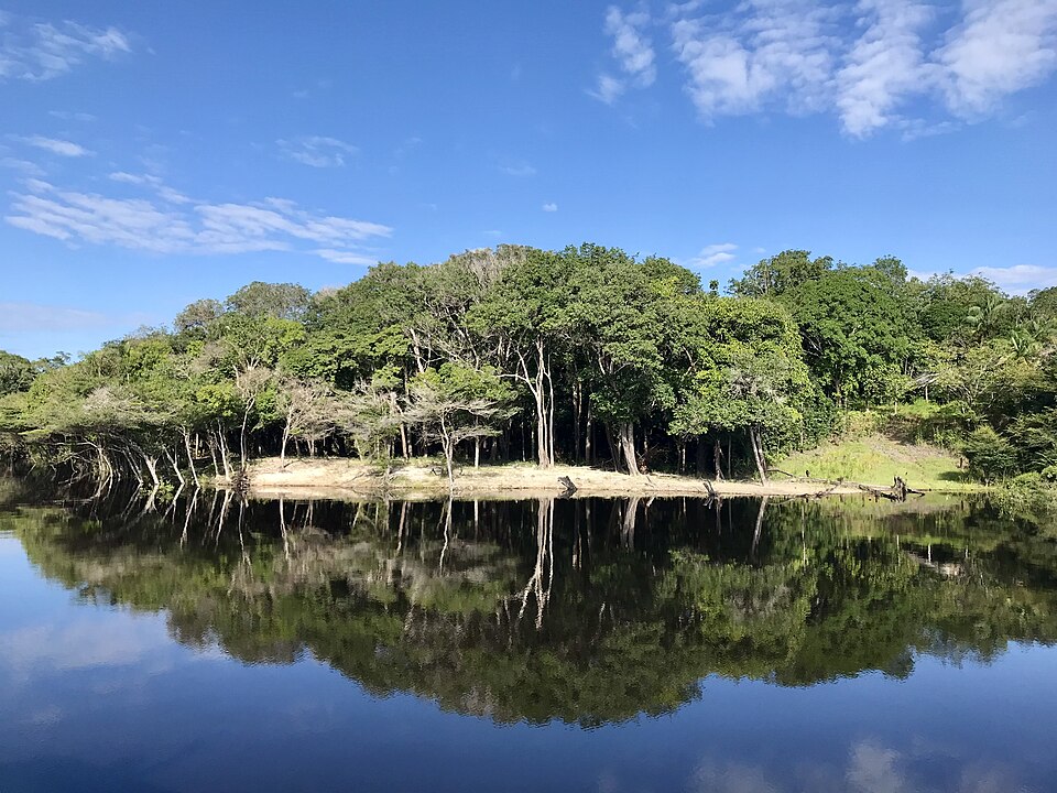 Central Amazon Conservation Complex（Brazil）
