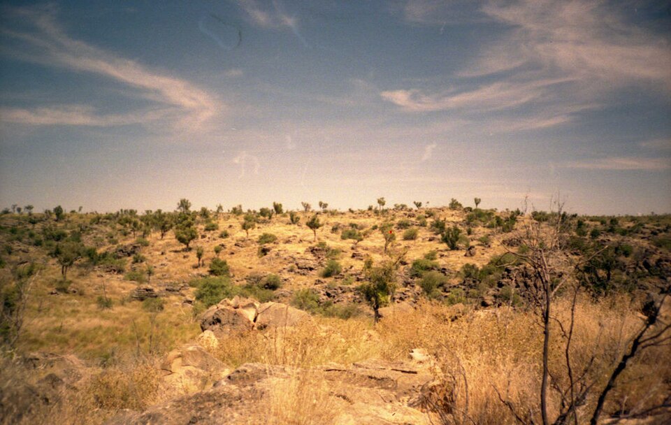 Australian Fossil Mammal Sites (Riversleigh / Naracoorte)（Australia）