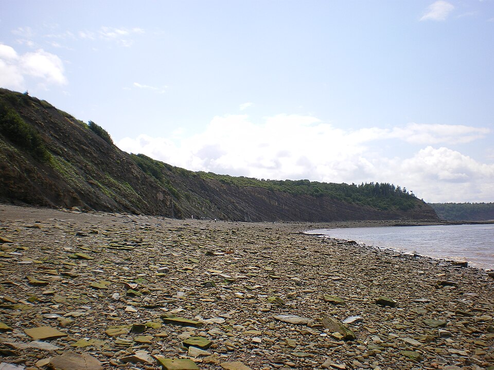 Joggins Fossil Cliffs（Canada）
