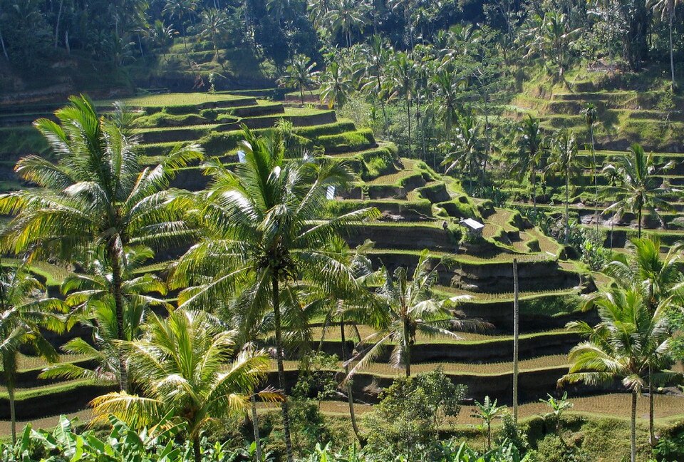 Cultural Landscape of Bali Province: the Subak System as a Manifestation of the Tri Hita Karana Philosophy（Indonesia）