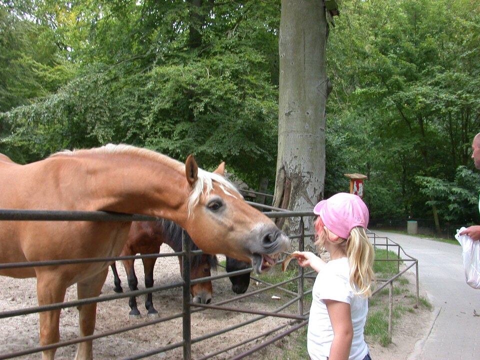 Sassnitz Wildlife Park（Germany）
