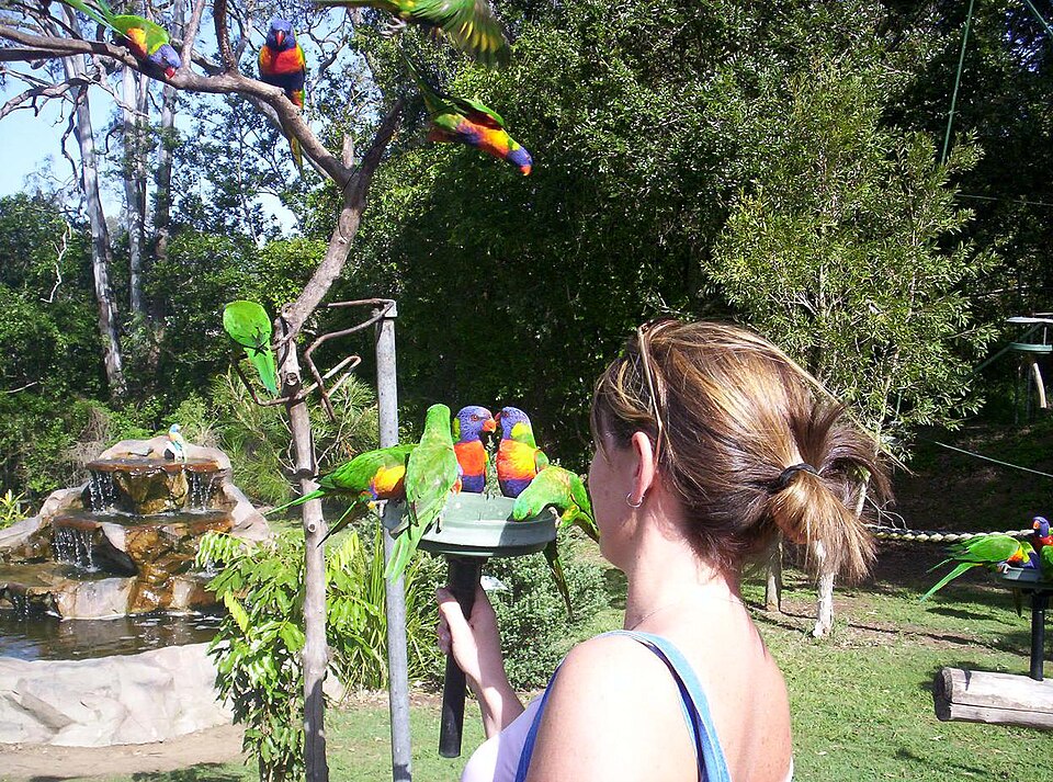 Lone Pine Koala Sanctuary（Australia）