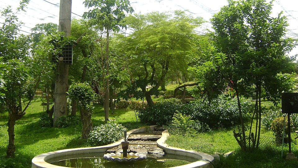 Arignar Anna Zoological Park（India）