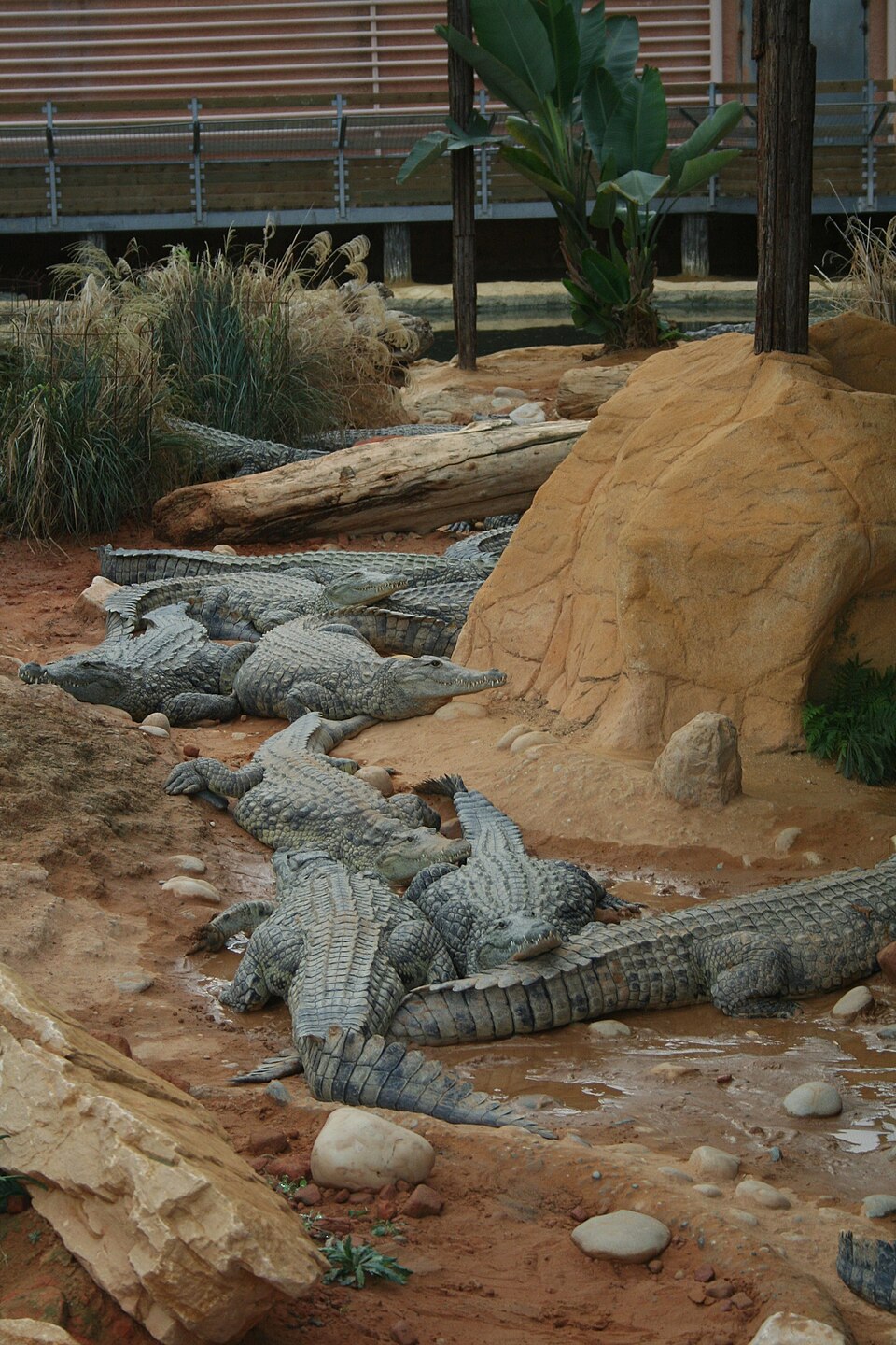 La Ferme aux crocodiles（France）