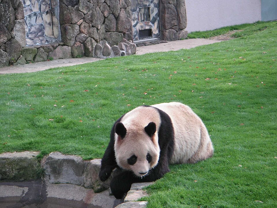 Adventure World（Japan）