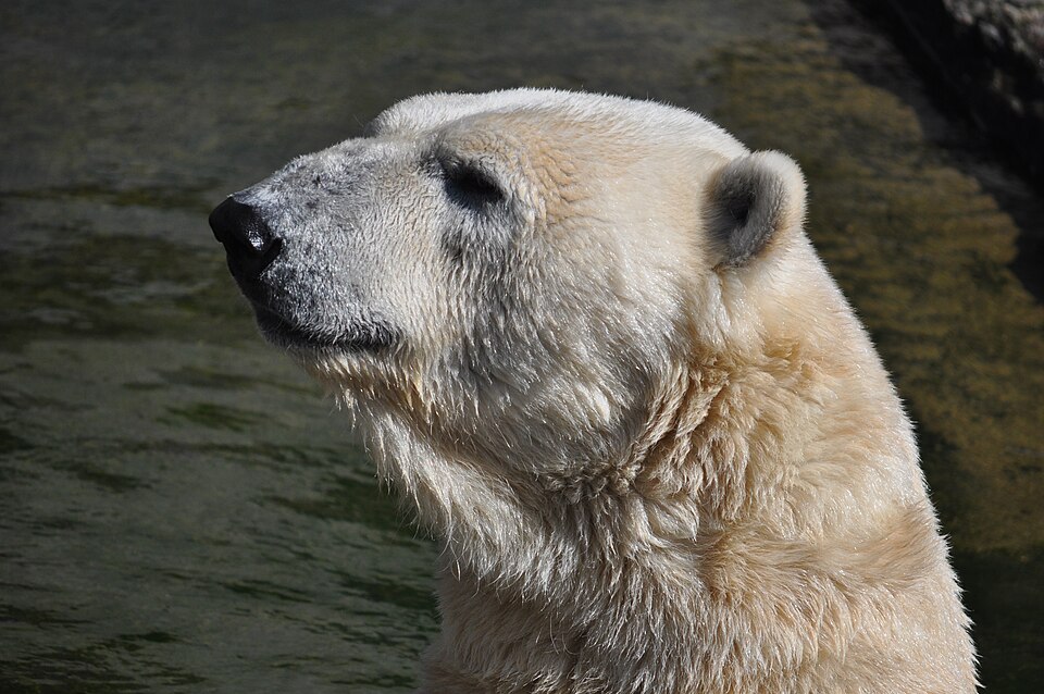 Rostock Zoo（Germany）