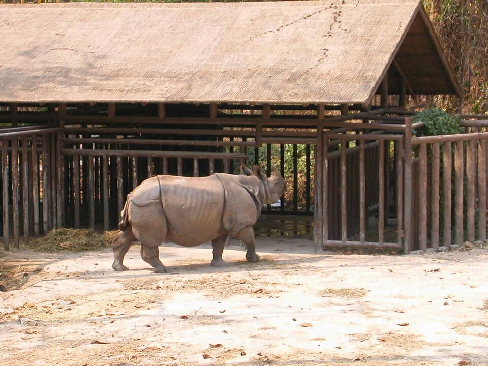 Chiang Mai Zoo（Thailand）