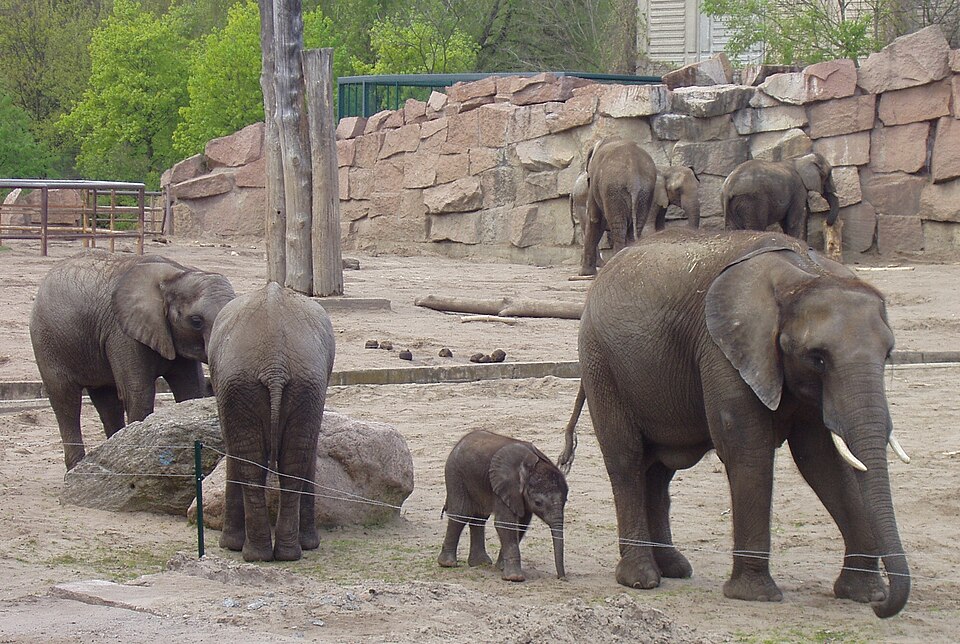 Tierpark Berlin（Germany）