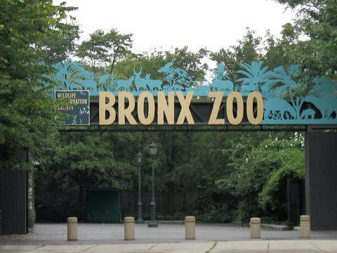 Bronx Zoo（United States）