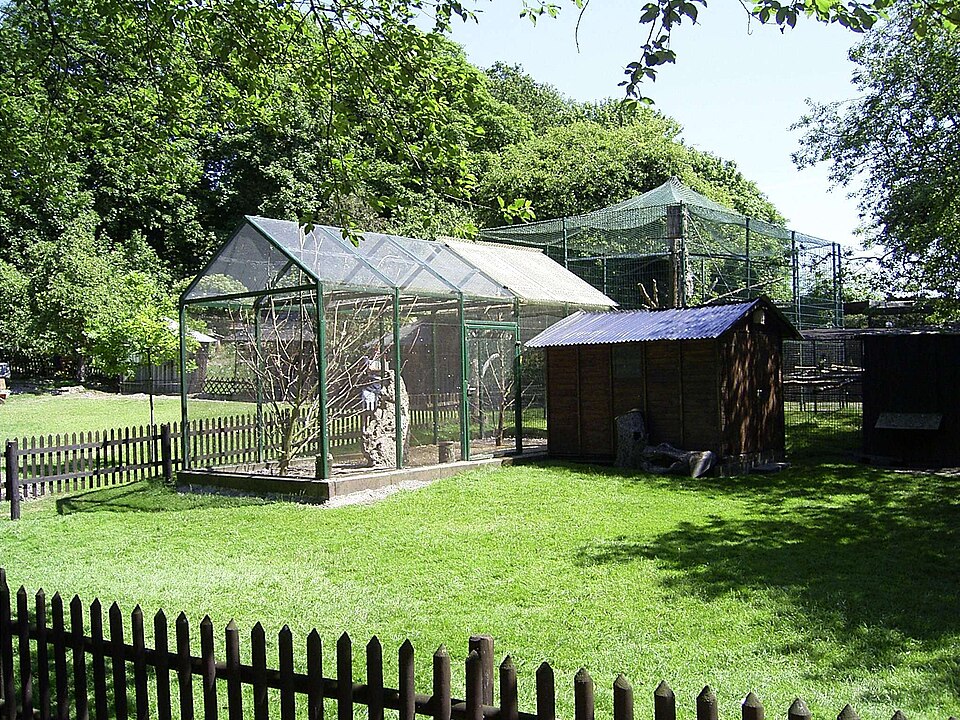 Vogelpark am Krater（Germany）