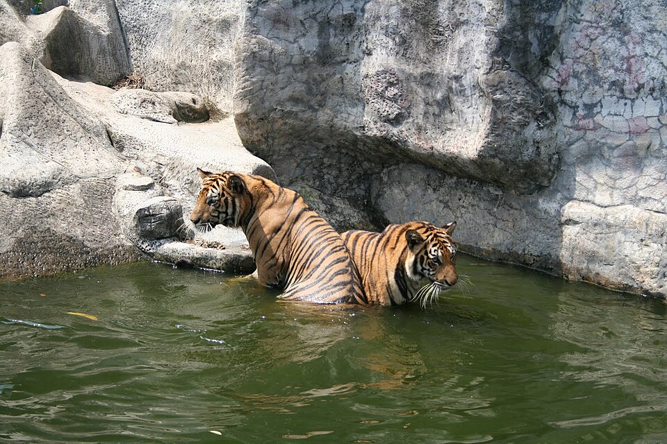 Songkhla Zoo（Thailand）