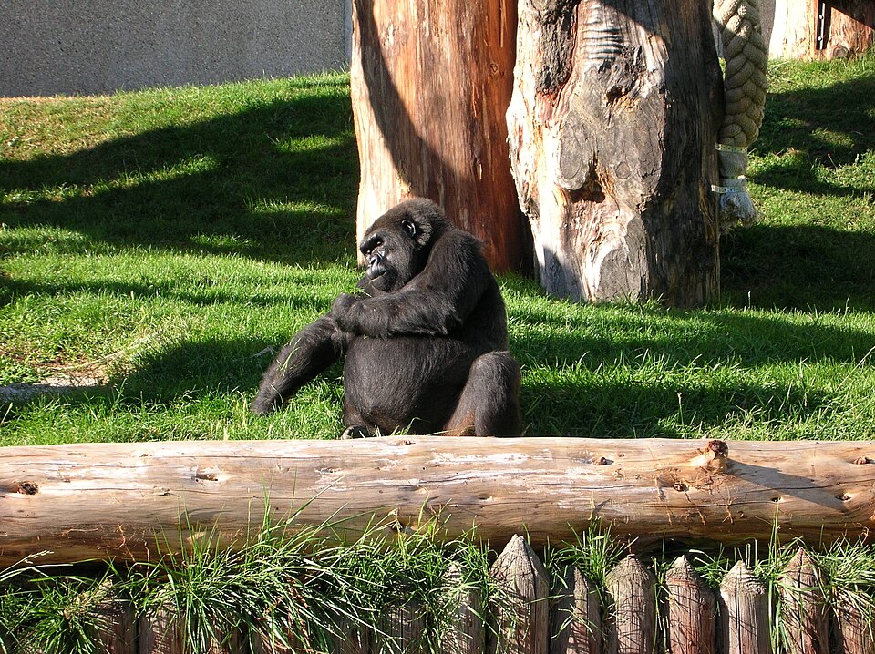 Espace zoologique de Saint-Martin-la-Plaine（France）