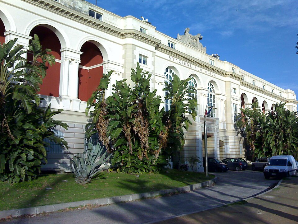 Stazione Zoologica Anton Dohrn（Italy）