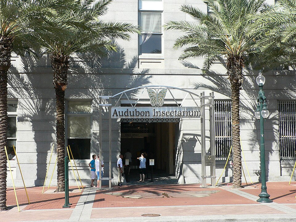 Audubon Insectarium（United States）