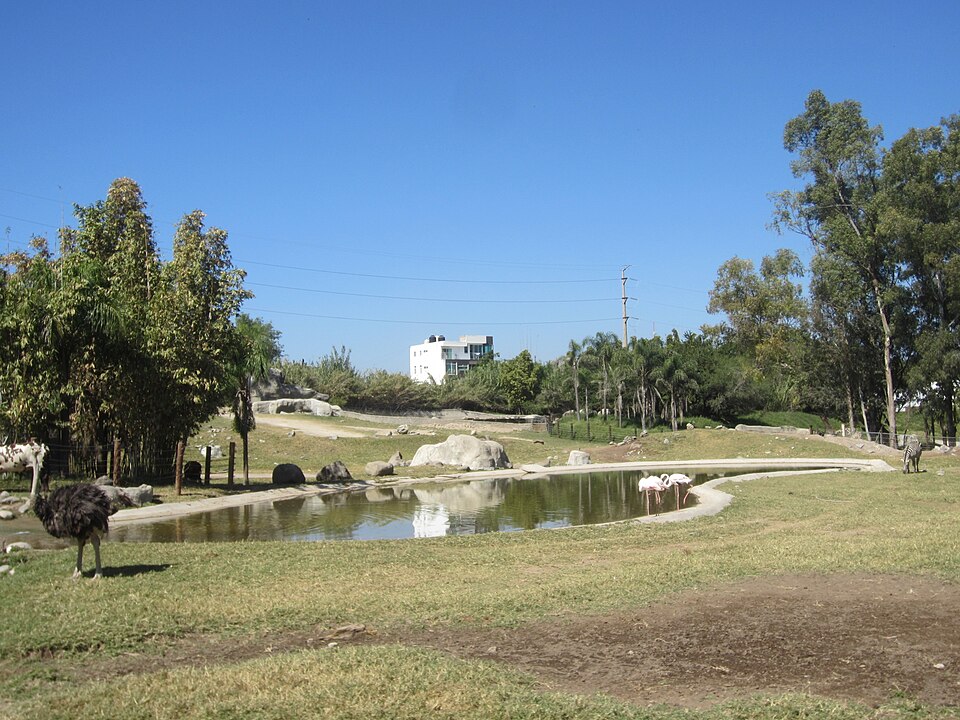 Guadalajara Zoo（Mexico）