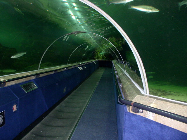 Deep Sea World（United Kingdom）