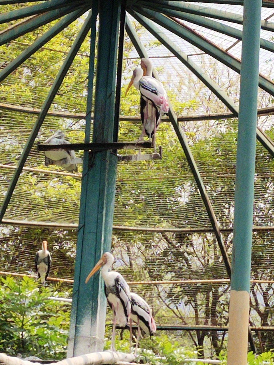 Kurumbapatti Zoological Park（India）