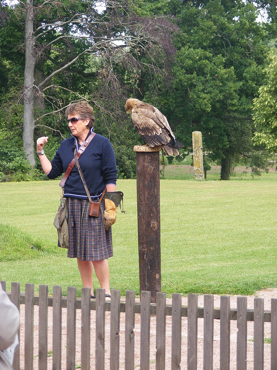 International Centre for Birds of Prey（United Kingdom）
