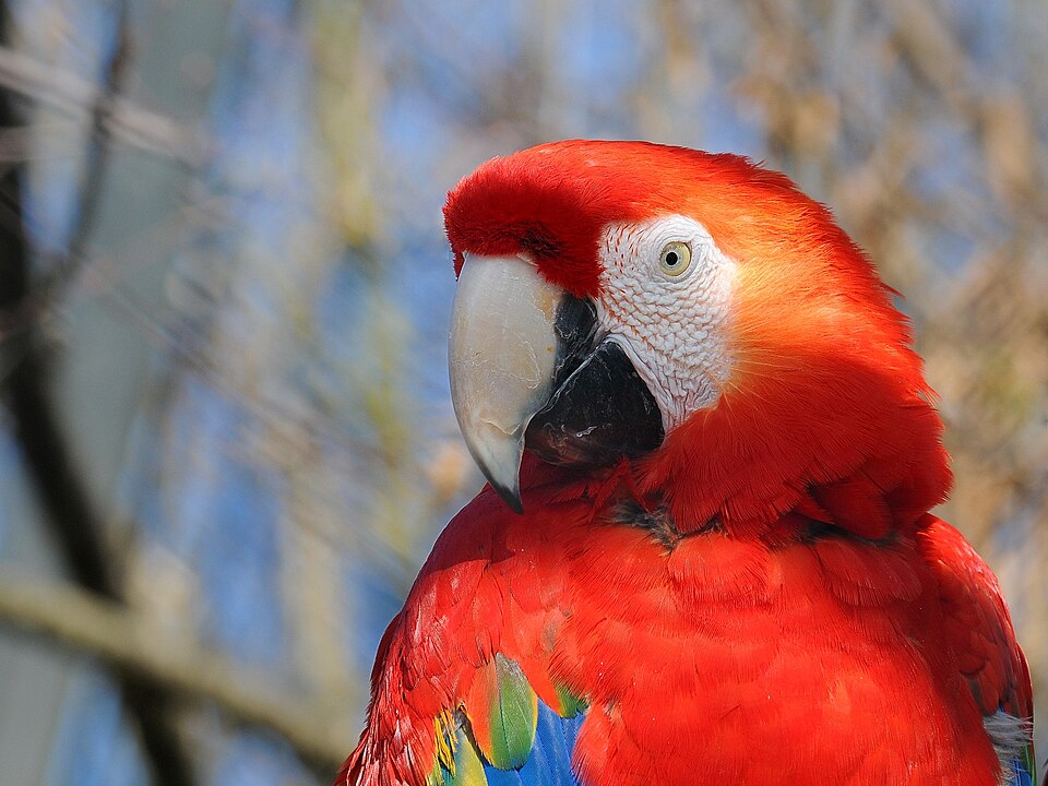 Walter Zoo（Switzerland）