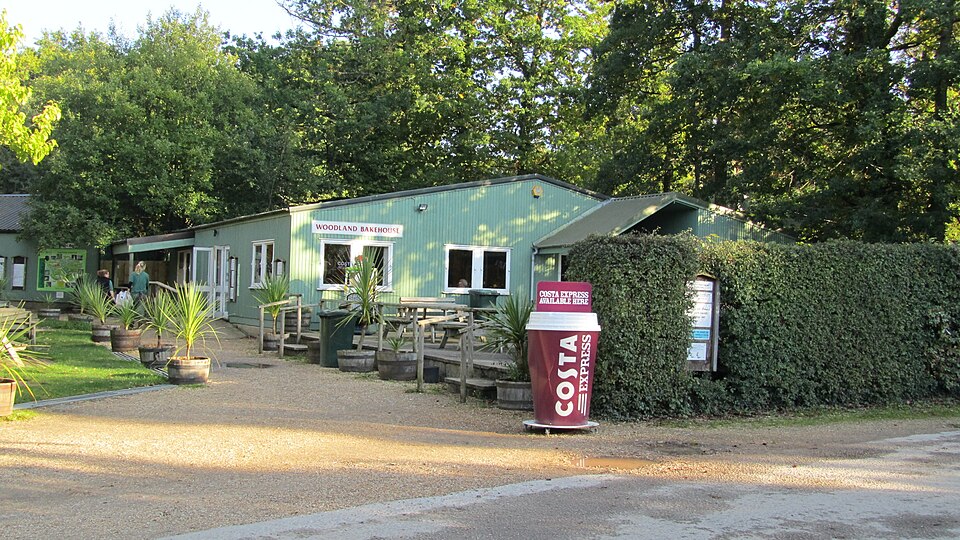 New Forest Wildlife Park（United Kingdom）