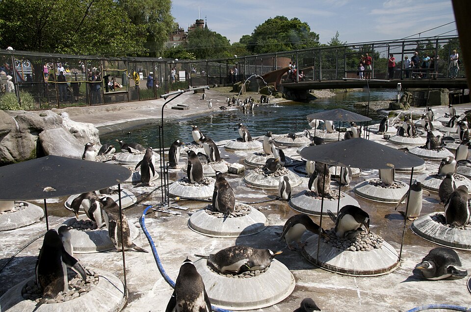 Edinburgh Zoo（United Kingdom）