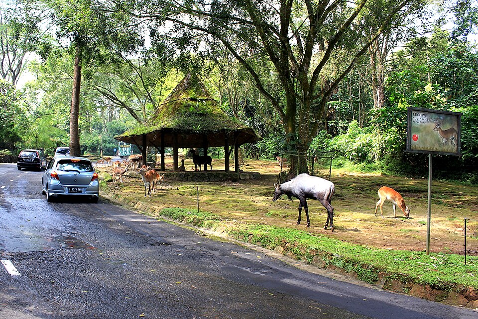 Taman Safari Indonesia（Indonesia）