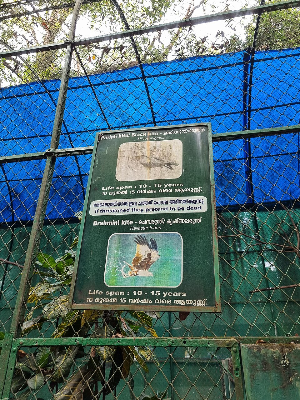 Thrissur Zoo（India）