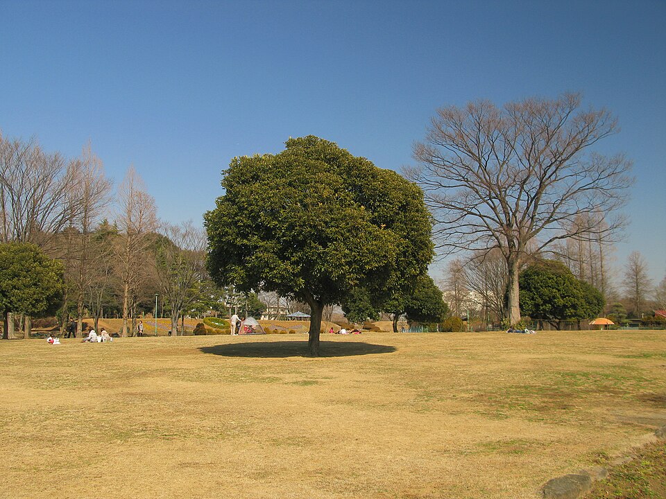 Ōsaki Park（Japan）