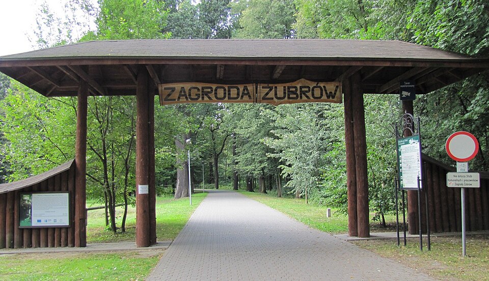 European Bison Show Farm in Pszczyna（Poland）